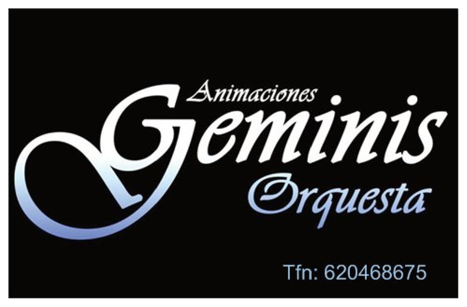Animaciones Geminis Orquesta 
